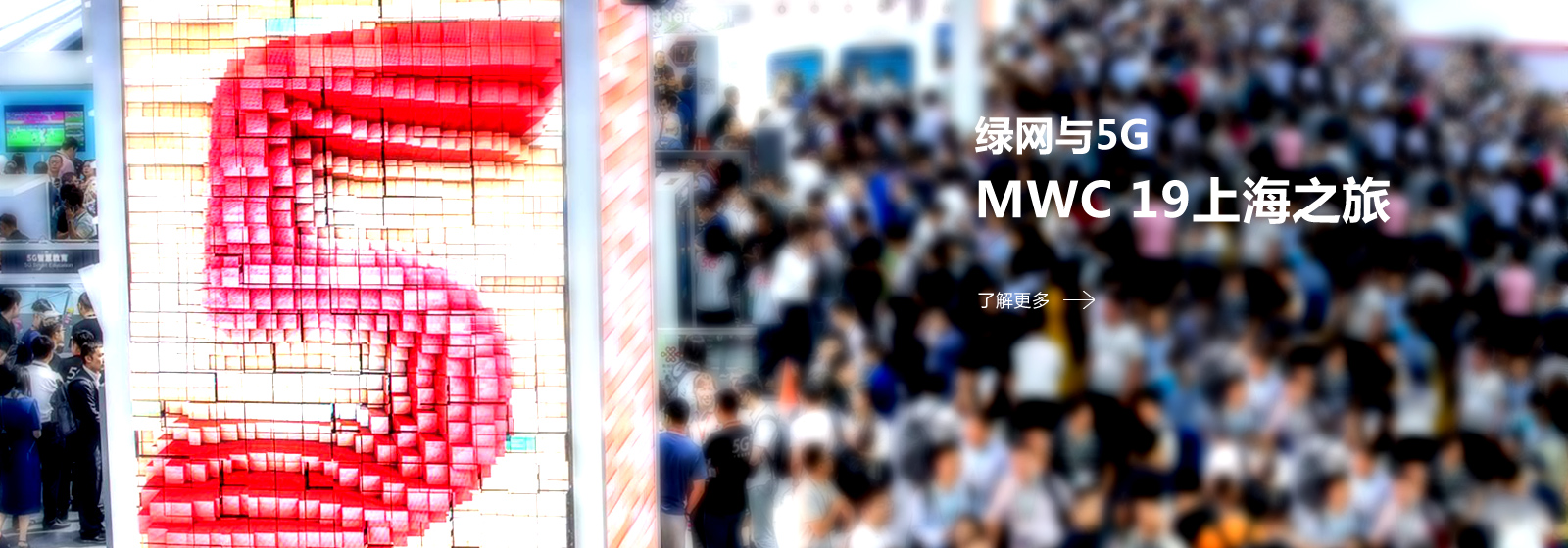 车巡星传星网络